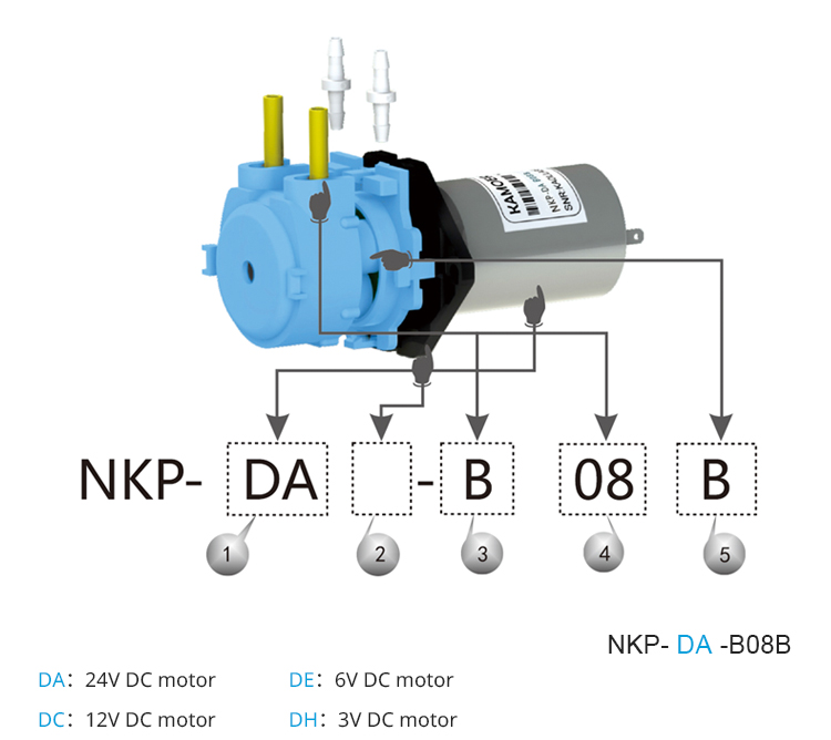 2026 new NKP 6V 12V 24V DC mot - огляд і ціна Nutrition & Fitness Coaching Fulham