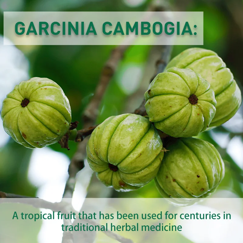 Garcinia Cambogia Capsules - B - огляд і ціна Garcinia Cambogia Extract