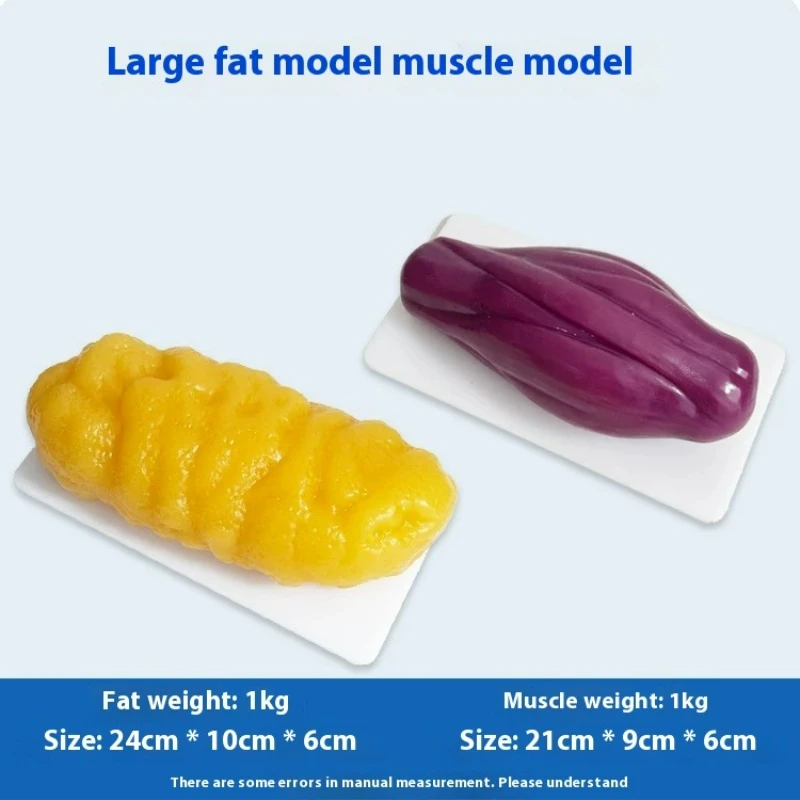 Human Muscle and Fat Replicas  - огляд і ціна The Nutrition Fitness