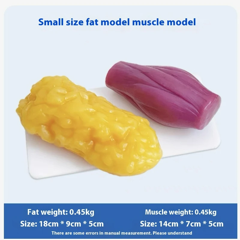 Human Muscle and Fat Replicas  - огляд і ціна Nutrition Fitness And Health